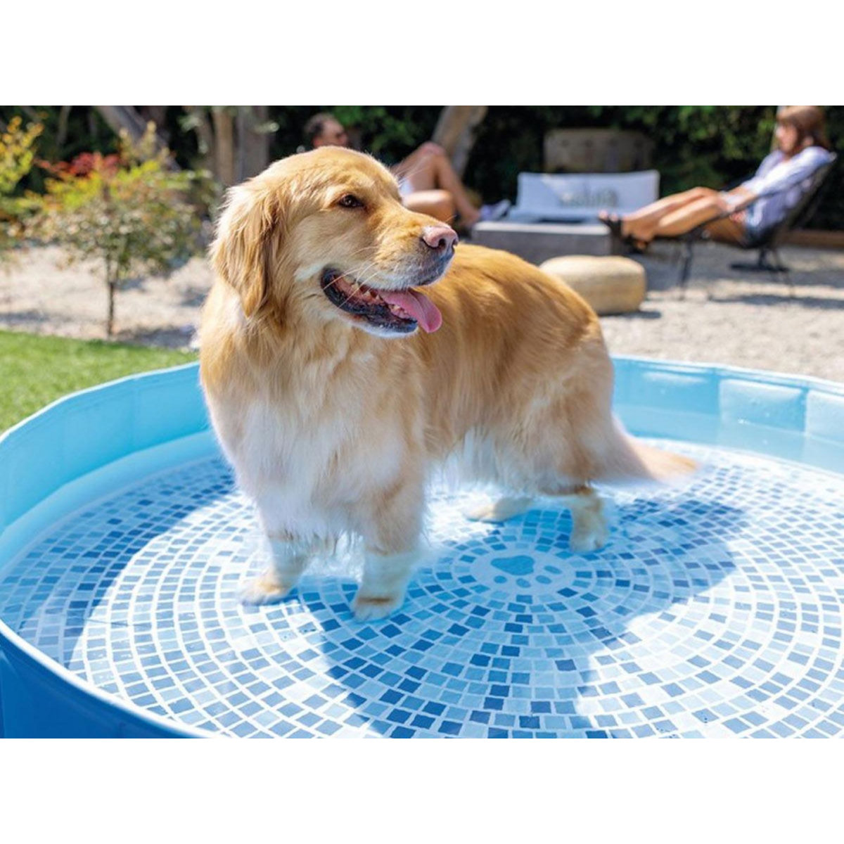 INTEX Piscine ronde pliable pour animaux - Intex