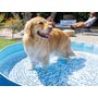 Voir la diapositive 2 : INTEX Piscine ronde pliable pour animaux - Intex