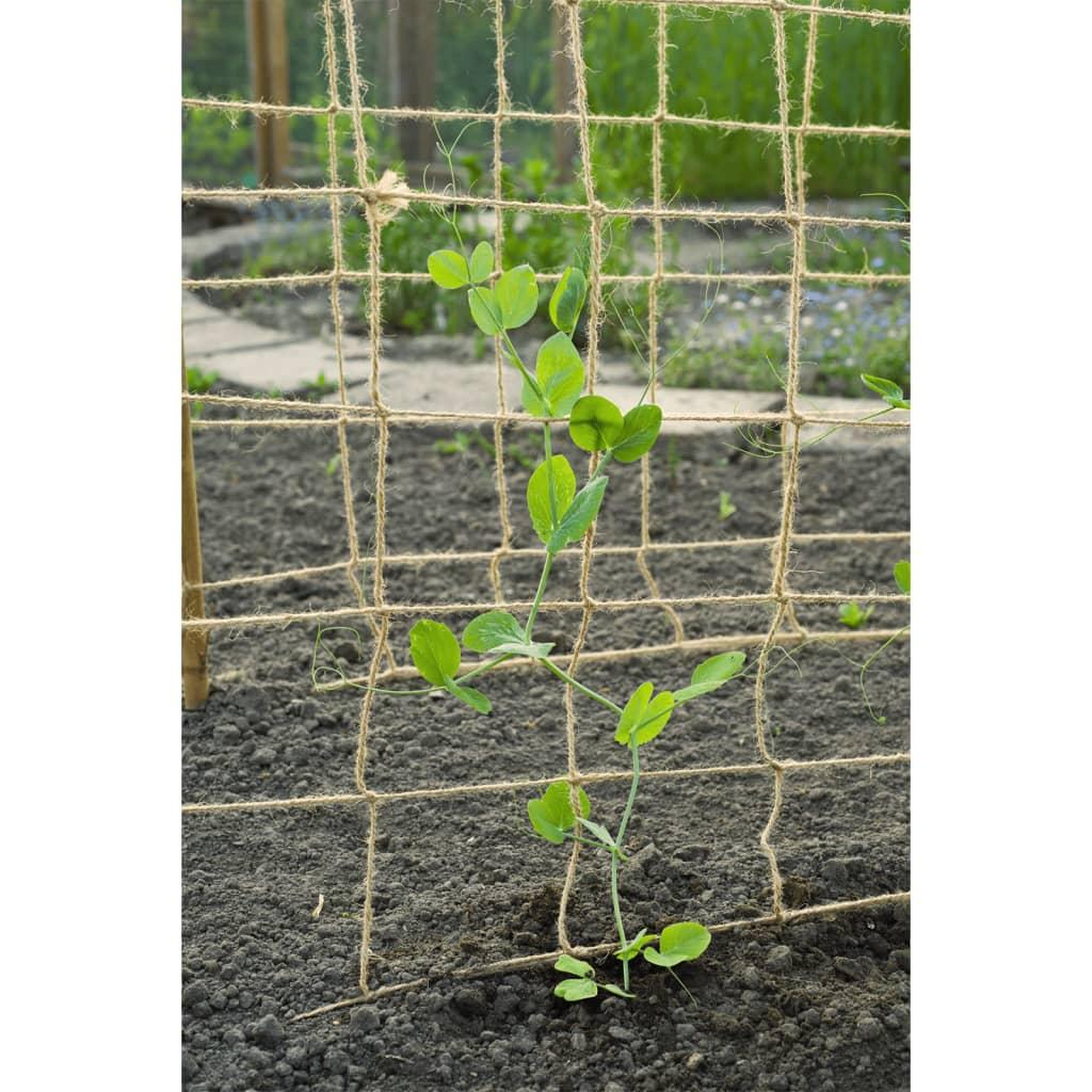 Voir la diapositive 5 : NATURE Nature Filet pour plantes grimpantes en jute 1x3 m naturel