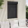 Voir la diapositive 3 : VIDAXL Volet roulant aluminium 70x100 cm anthracite