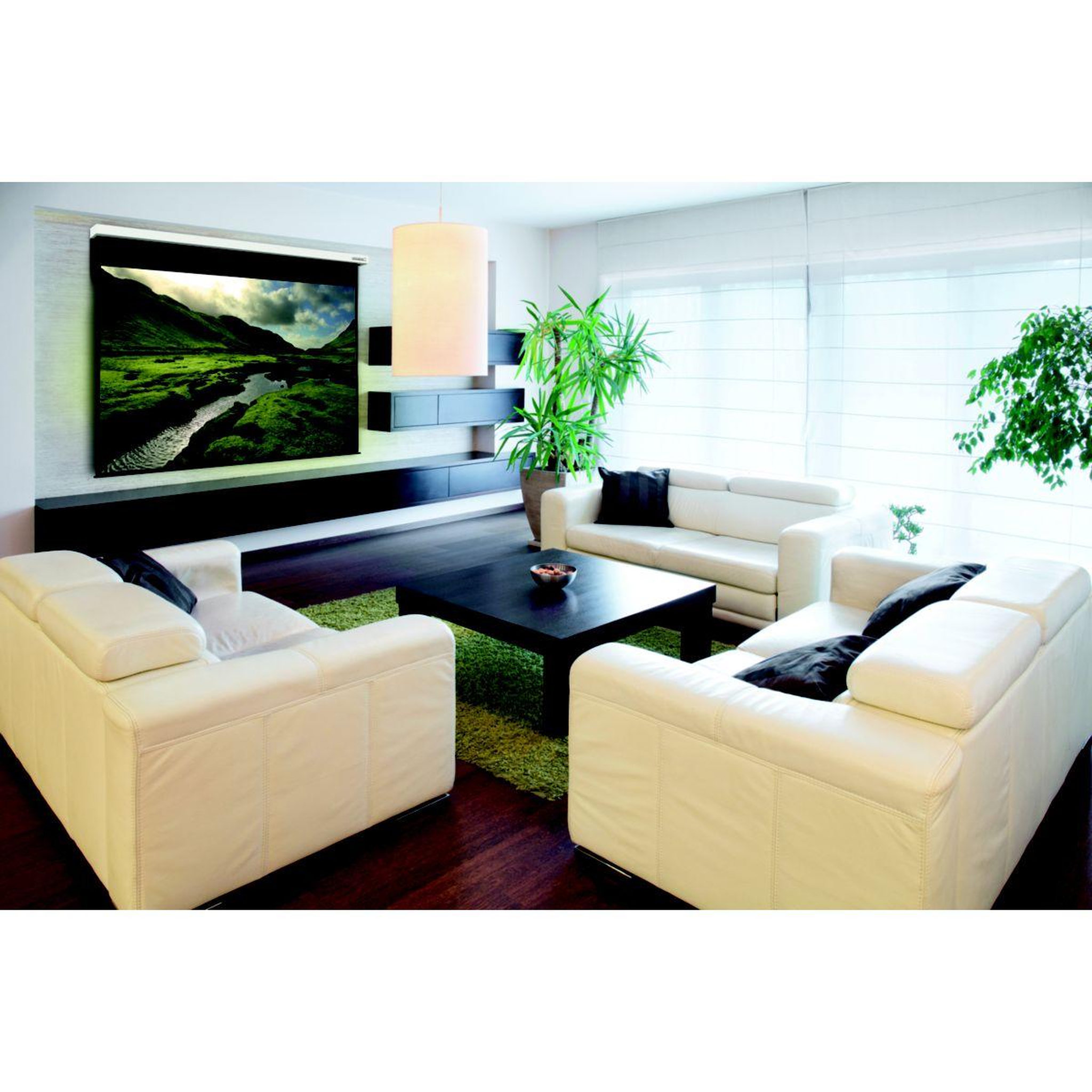 Voir la diapositive 3 : LUMENE Ecran de projection CAPITOL HD 170 C