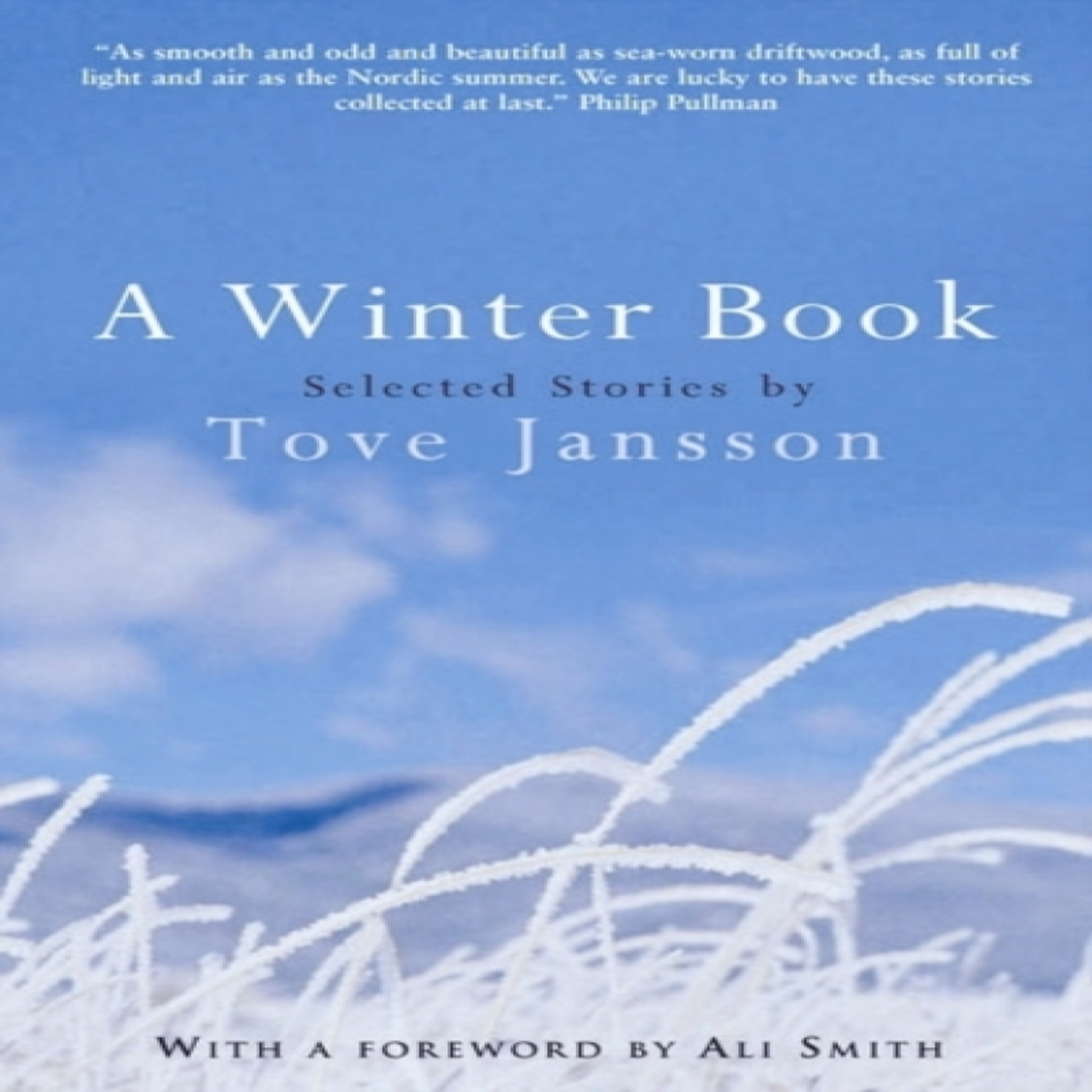LIVRES A Winter Book : Selected Stories