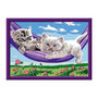 Voir la diapositive 3 : RAVENSBURGER CreArt Kids 18x24cm Chatons dans le hamac, Kit de peinture par numéros Numéro d'Art, Des 9 ans, 25828, Ravensburger