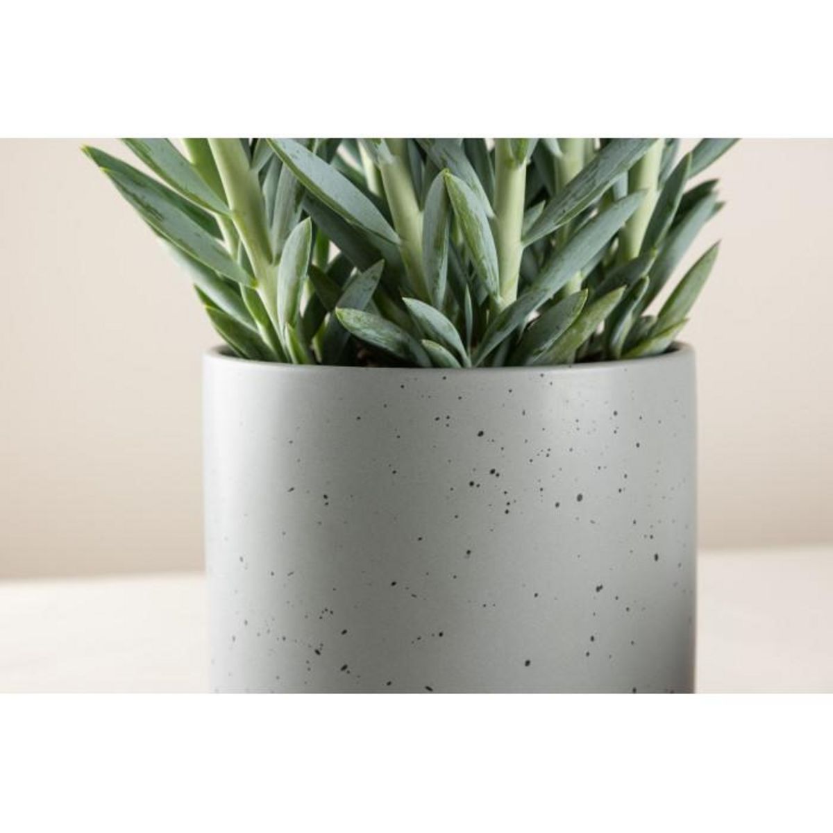 Paris Prix Pot Déco en Céramique  Sane  18cm Gris Foncé