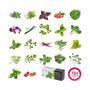 Voir la diapositive 4 : VERITABLE Recharge jardin d'intérieur Mizuna BIO