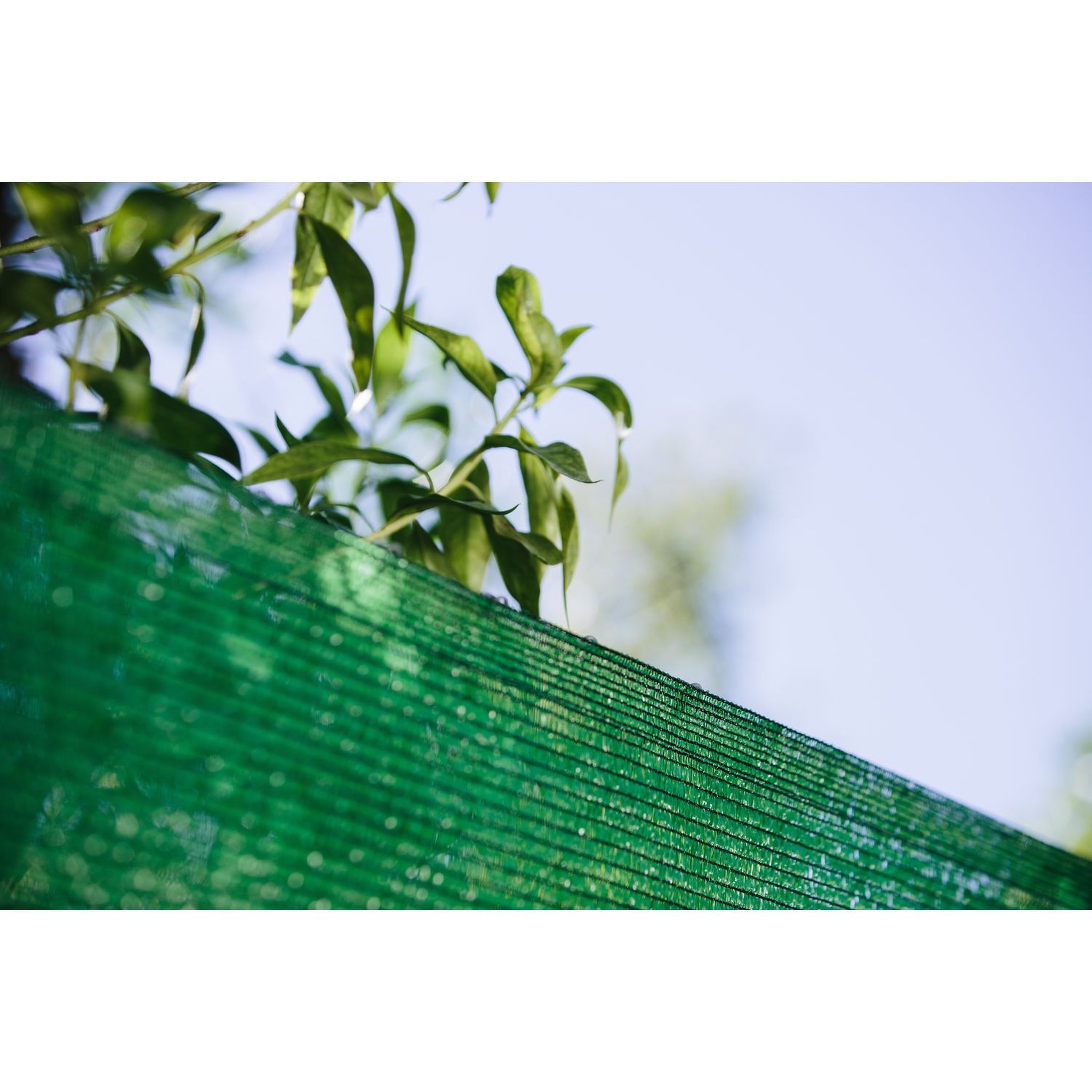 Voir la diapositive 1 : Catral Brise vue 1,5x10 m vert 90g/m²