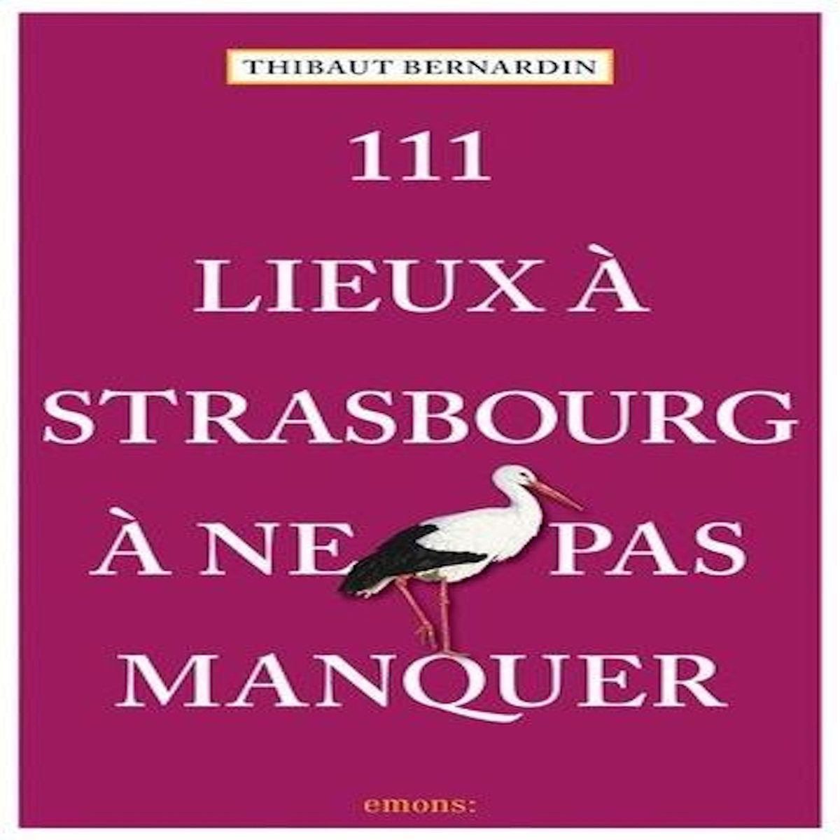 111 LIEUX A STRASBOURG A NE PAS MANQUER, Bernardin Thibaut