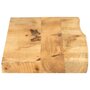 Voir la diapositive 4 : VIDAXL Dessus de table 100x20x2,5cm bord vif bois massif manguier brut
