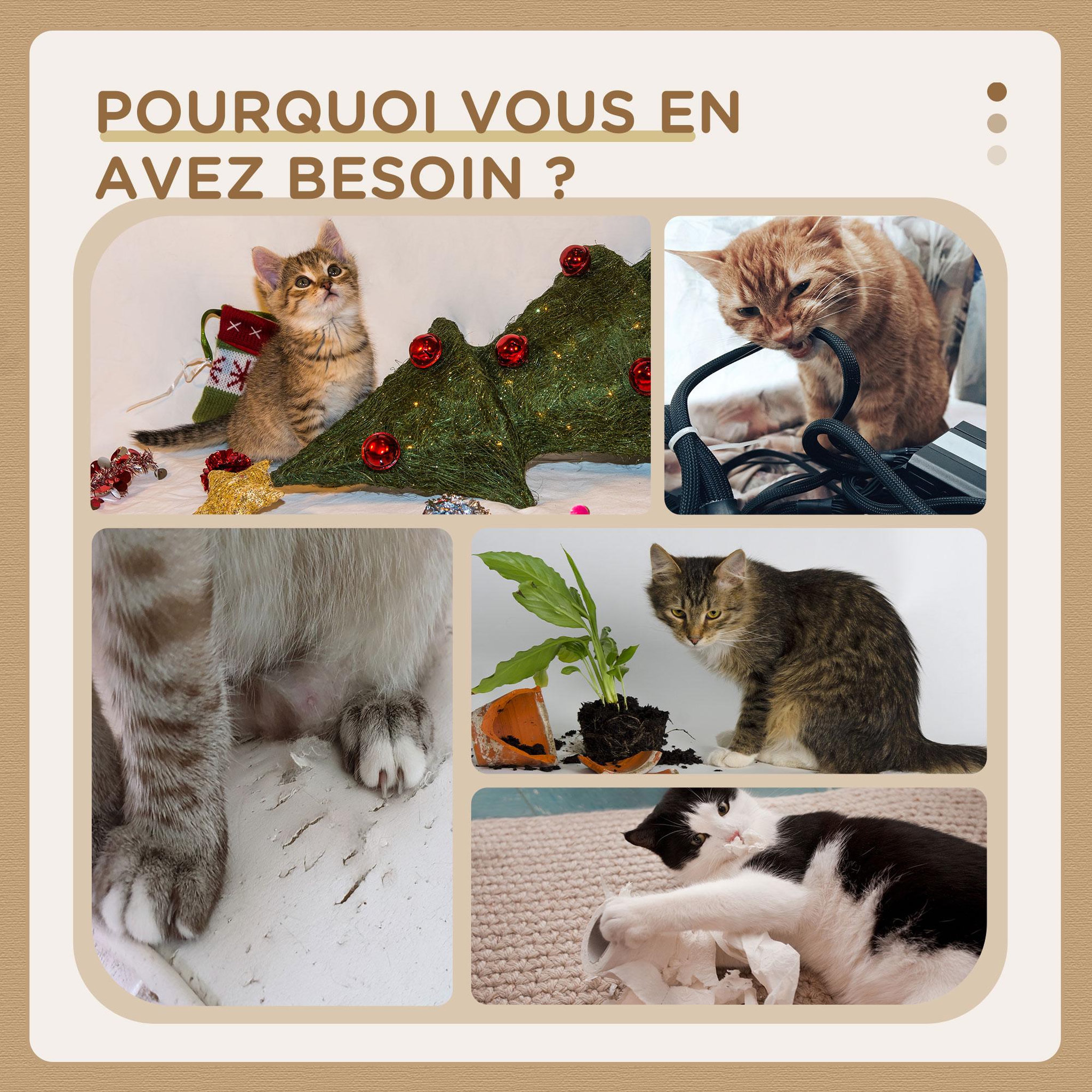 Voir la diapositive 6 : PAWHUT Arbre à chat style cosy chic griffoirs boule ressort niche panier 2 coussins inclus quenouille sisal naturel peluche beige
