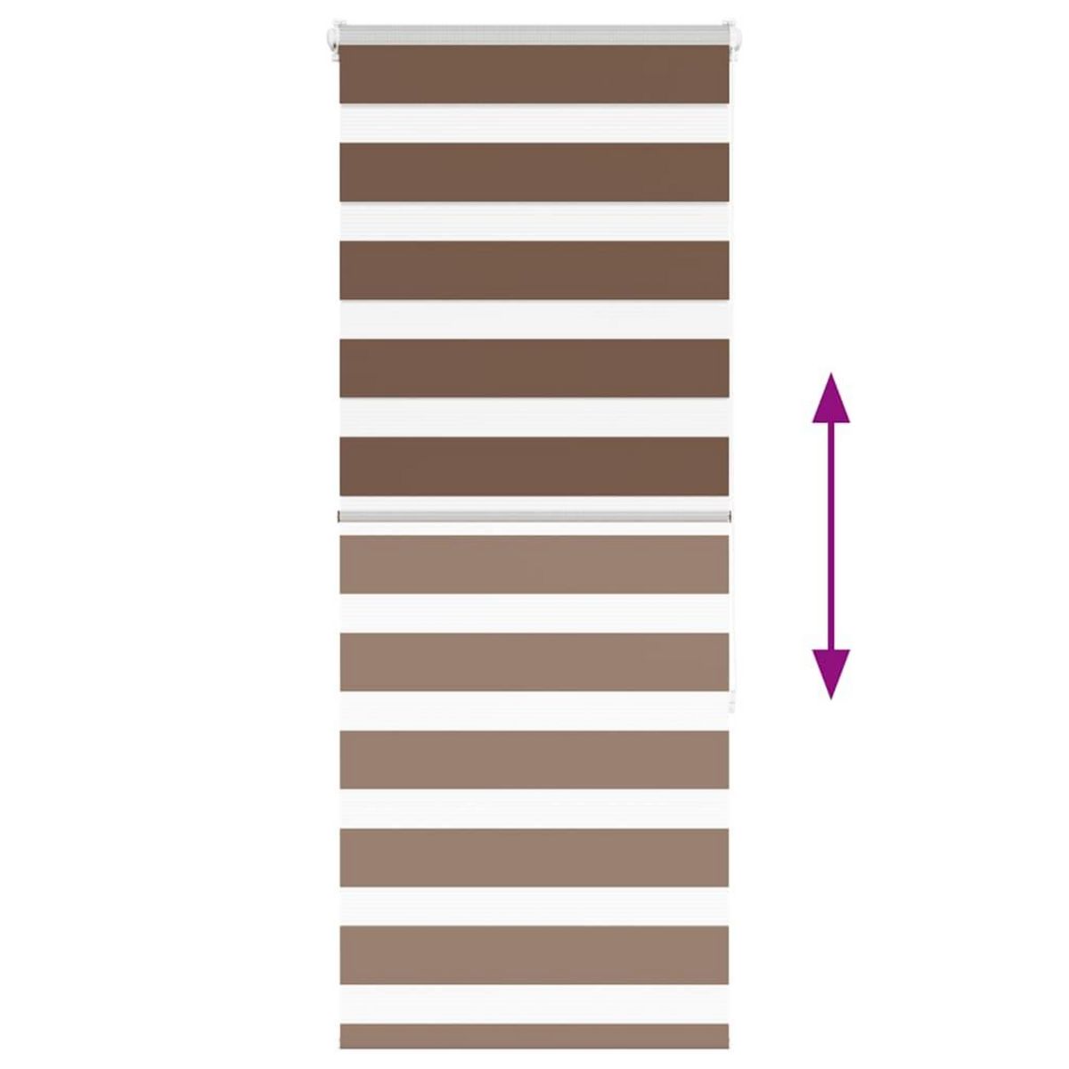 VIDAXL Store zebre marron 60x150 cm largeur du tissu 55,9 cm polyester