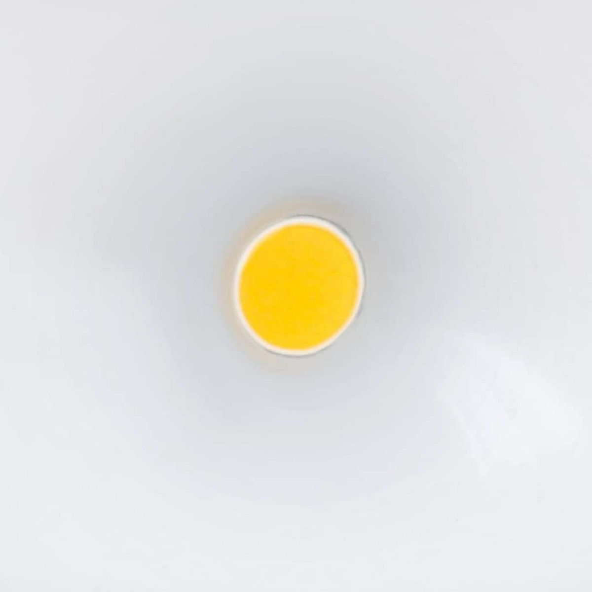 STEINEL Steinel Projecteur d'exterieur a capteur LS 150 LED Noir 052546