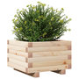 Voir la diapositive 4 : VIDAXL Jardiniere 40x40x26,5 cm bois de pin massif