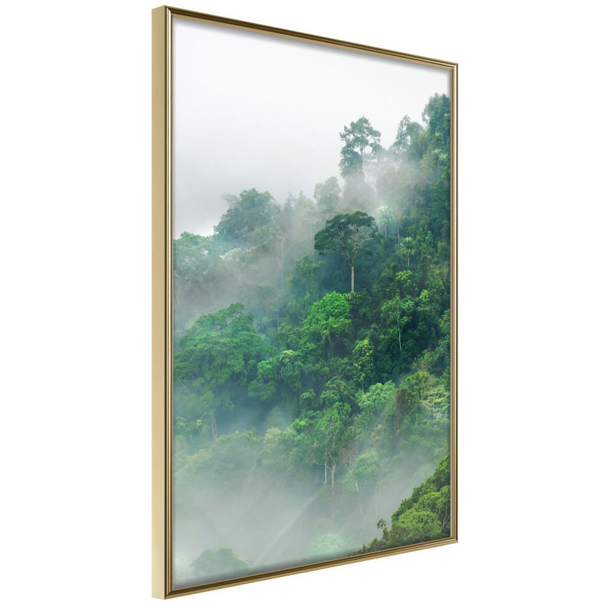 Paris Prix Affiche Murale Encadrée  Green Lungs of the Earth II