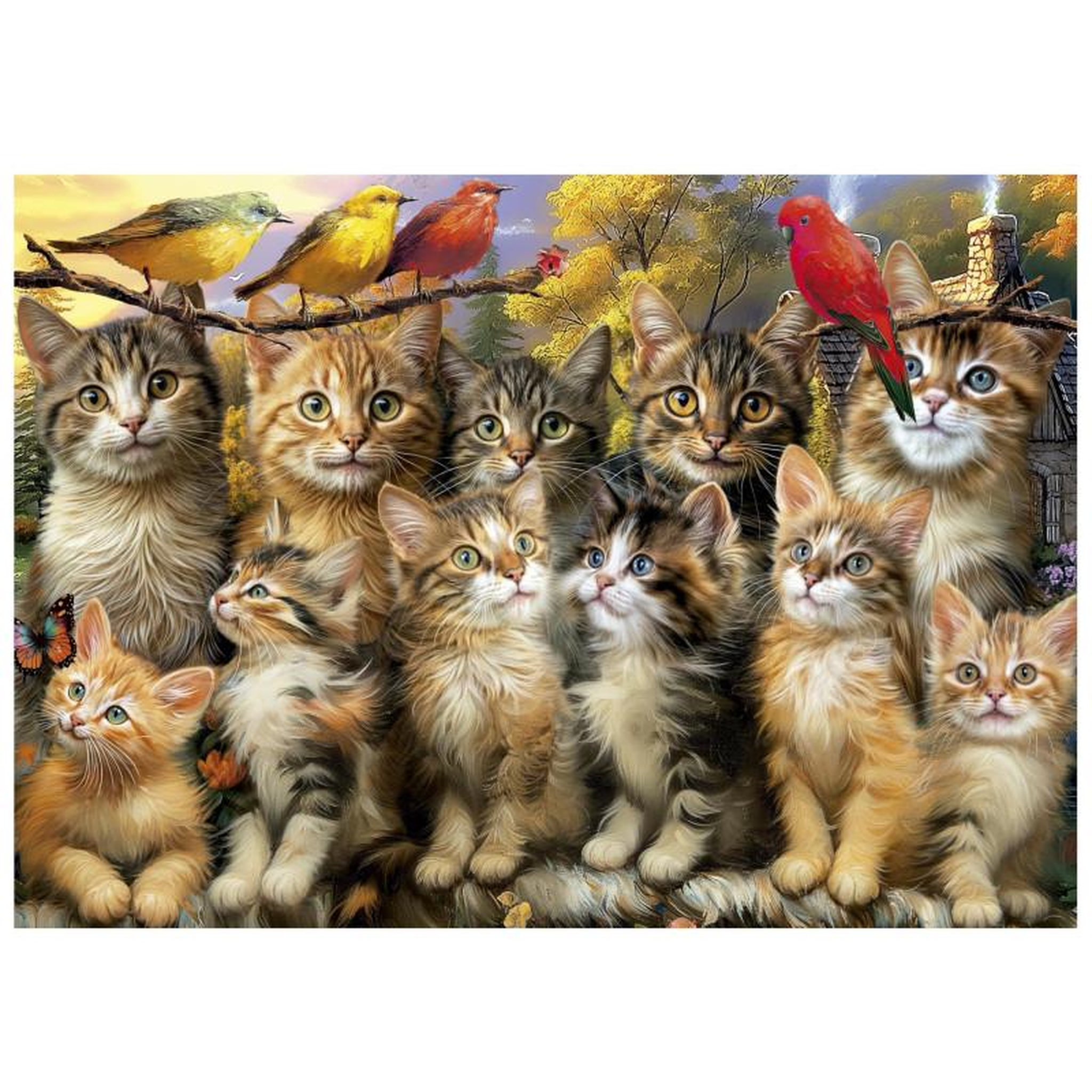 Voir la diapositive 2 : EDUCA Puzzle 500 pièces Chatons et Oiseaux – Adultes et enfants dès 10 ans – Haute qualité – EDUCA