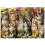 Voir la diapositive 2 : EDUCA Puzzle - EDUCA - Chatons et Oiseaux - 500 pieces