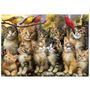 Voir la diapositive 2 : EDUCA Puzzle - EDUCA - Chatons et Oiseaux - 500 pieces