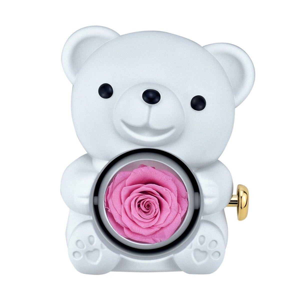 SC CRYSTAL Boite à bijoux Ourson décorée d'une rose éternelle - stabilisée rose