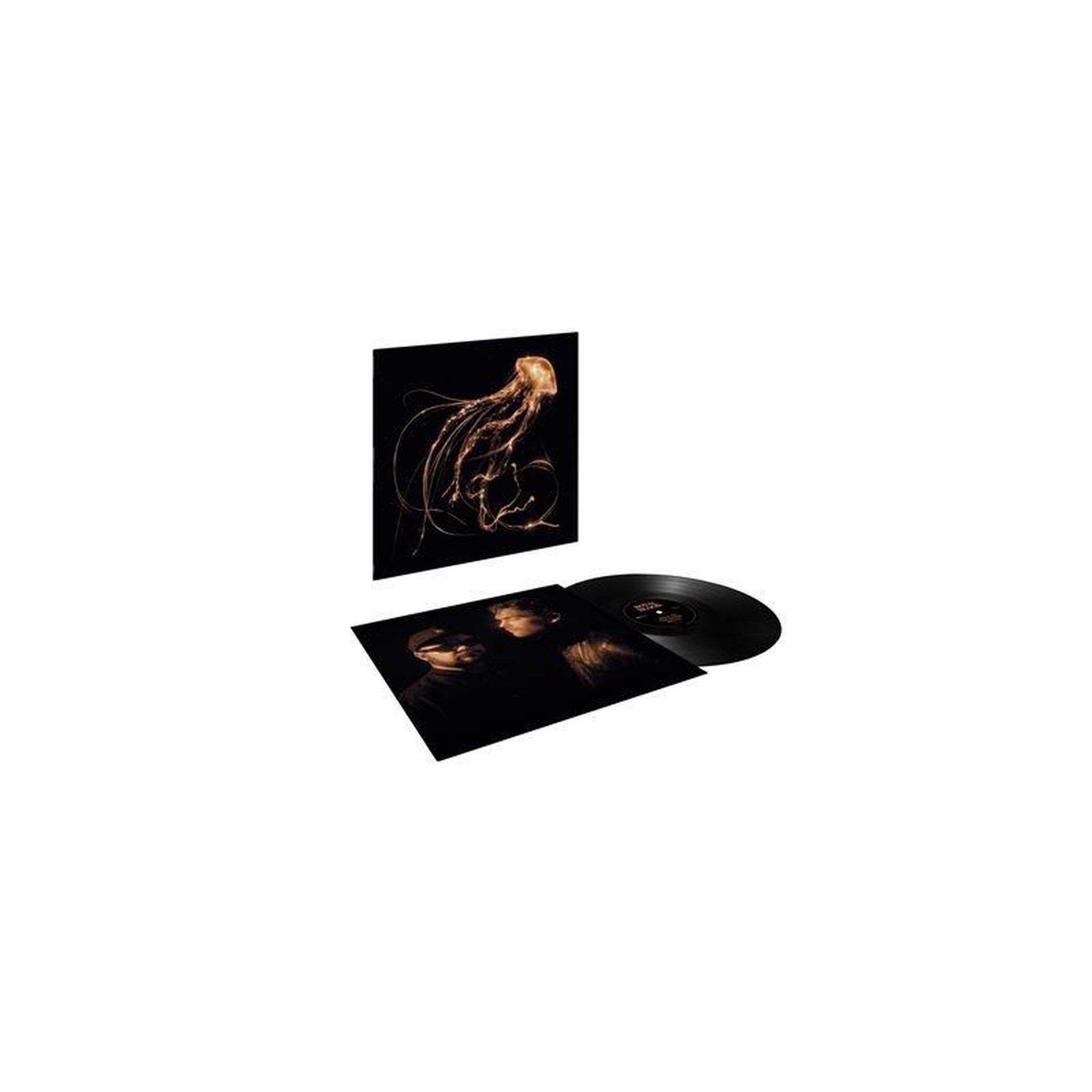 Album vinyle lp royal blood back to the water below noir, 10 titres, 2023