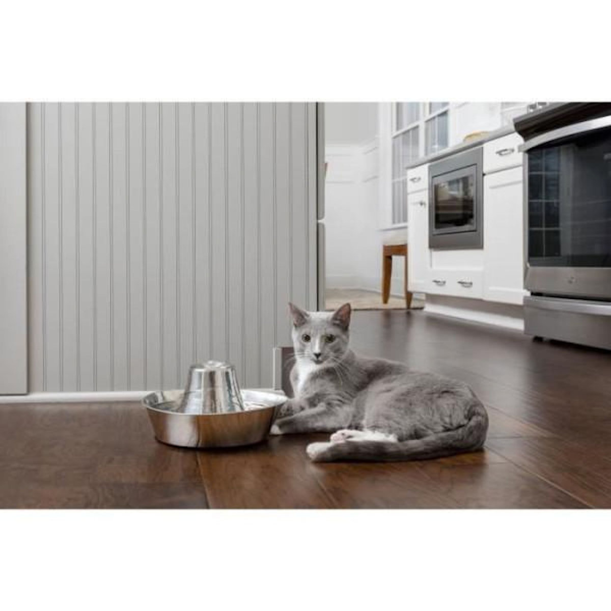 PETSAFE Fontaine pour Animaux - PETSAFE - SEASIDE - Inoxydable - 1,8 L - Silencieuse - Eau filtrée
