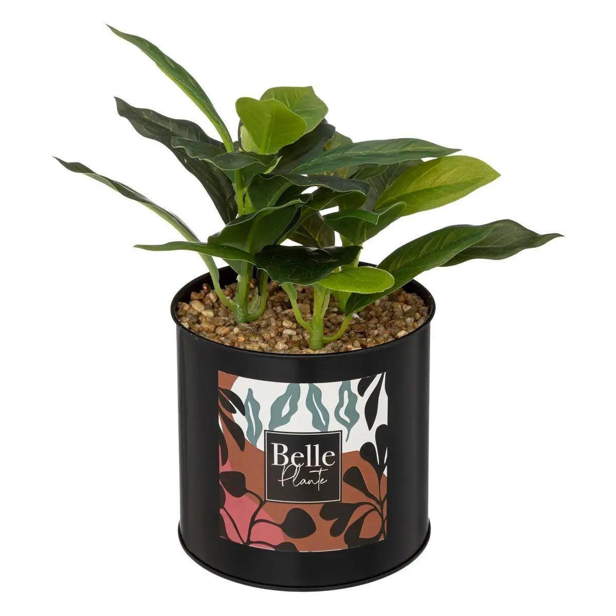Voir la diapositive 1 : ATMOSPHERA Plante artificielle en pot  cosy  20cm noir & vert