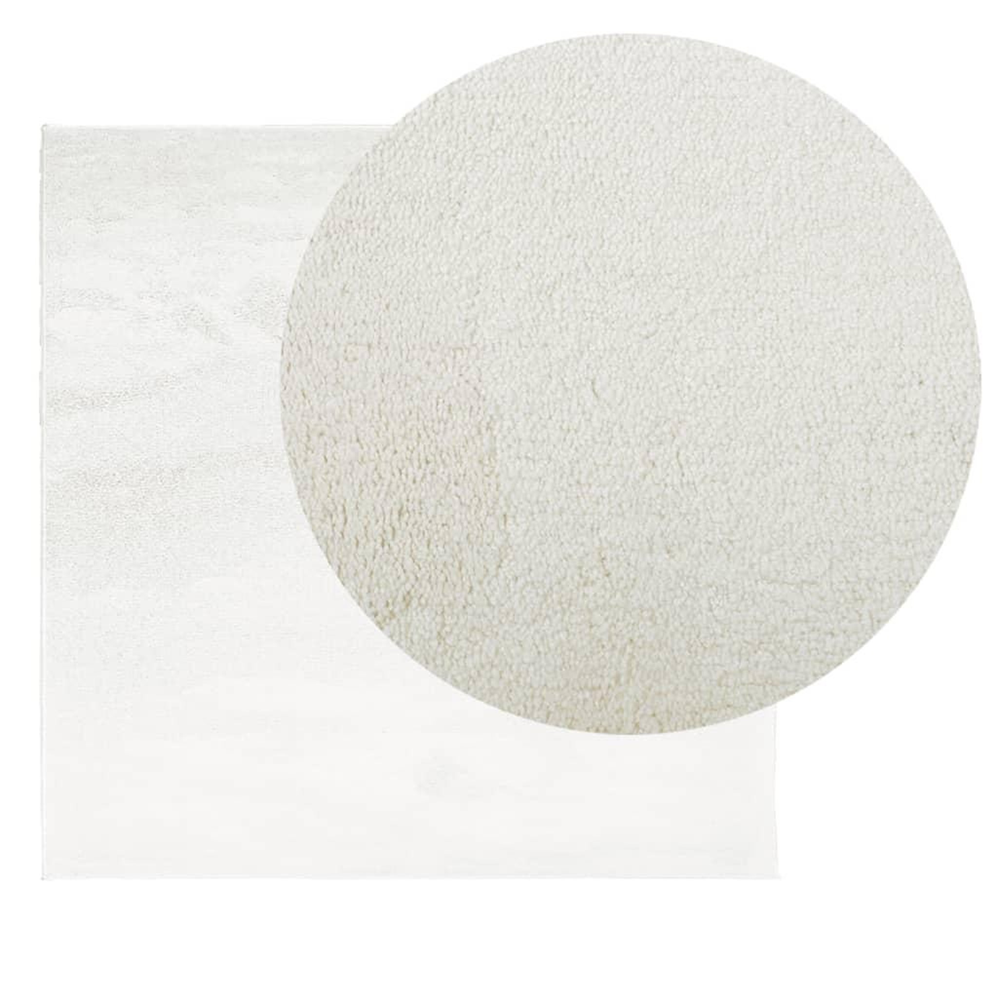 Voir la diapositive 3 : VIDAXL Tapis OVIEDO a poils courts creme 120x120 cm