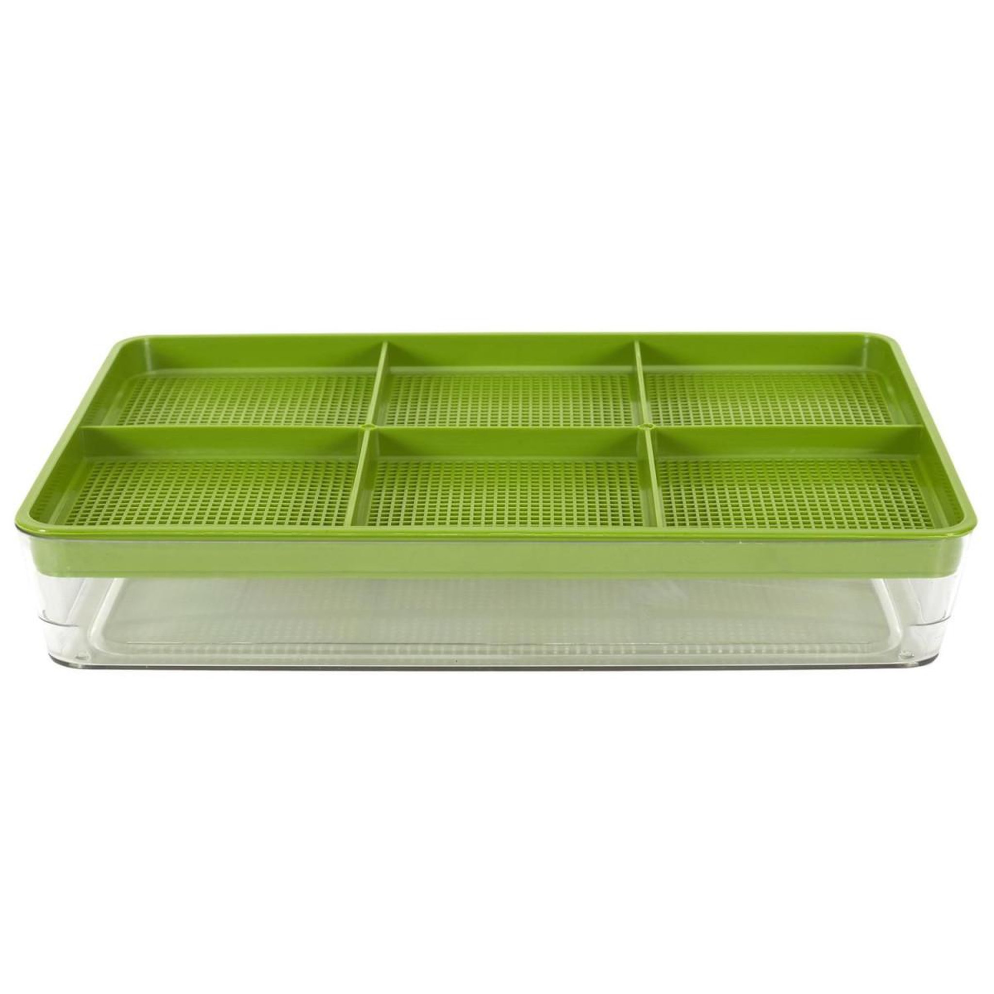 Voir la diapositive 1 : COOK CONCEPT Plateau de germination  graines  30cm vert