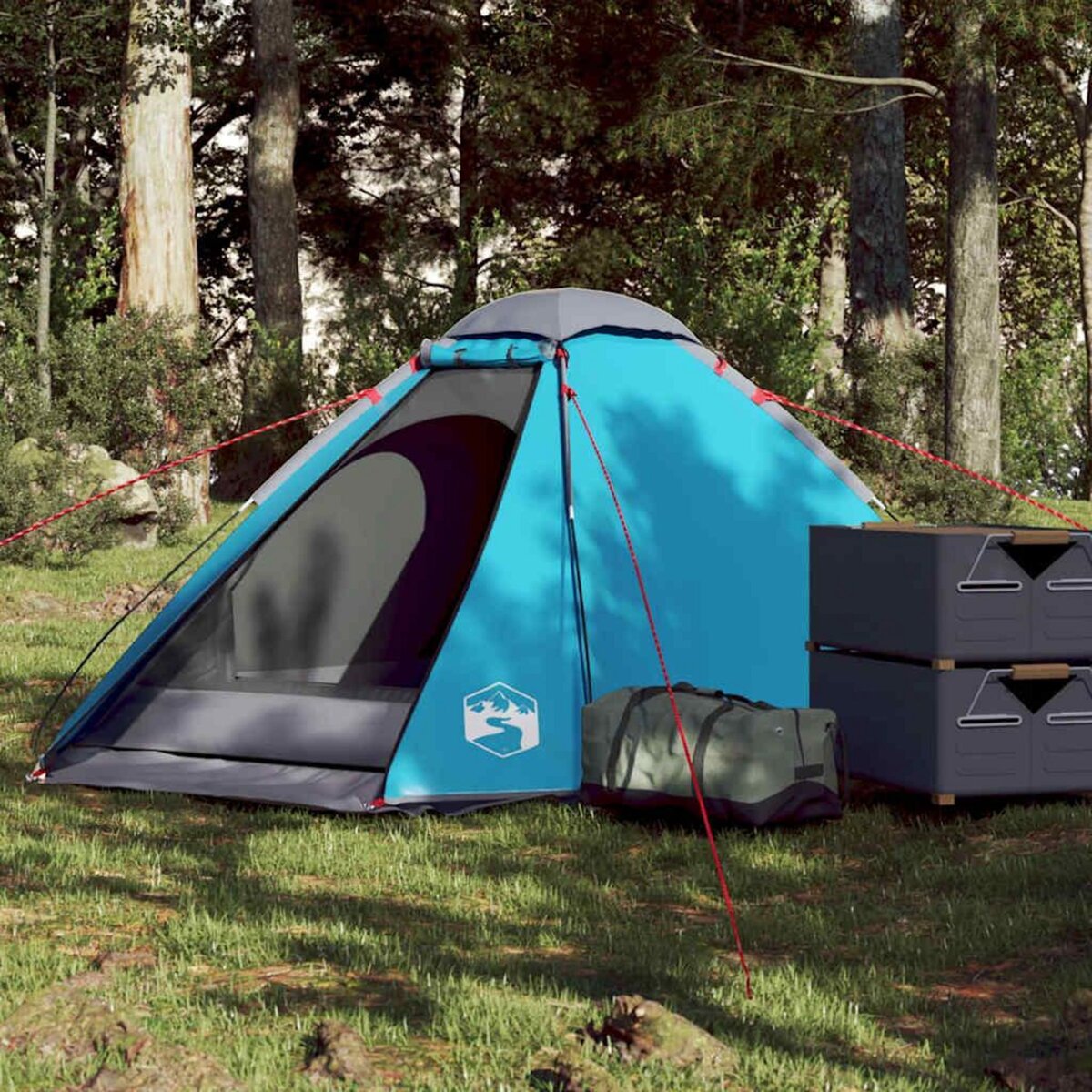 VIDAXL Tente de camping a dome 2 personnes bleu impermeable