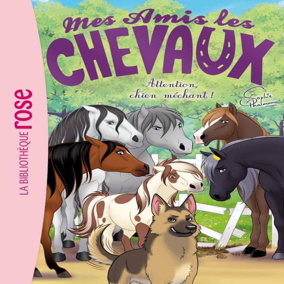 MES AMIS LES CHEVAUX TOME 51 : ATTENTION, CHIEN MECHANT !, Féret-Fleury Madeleine