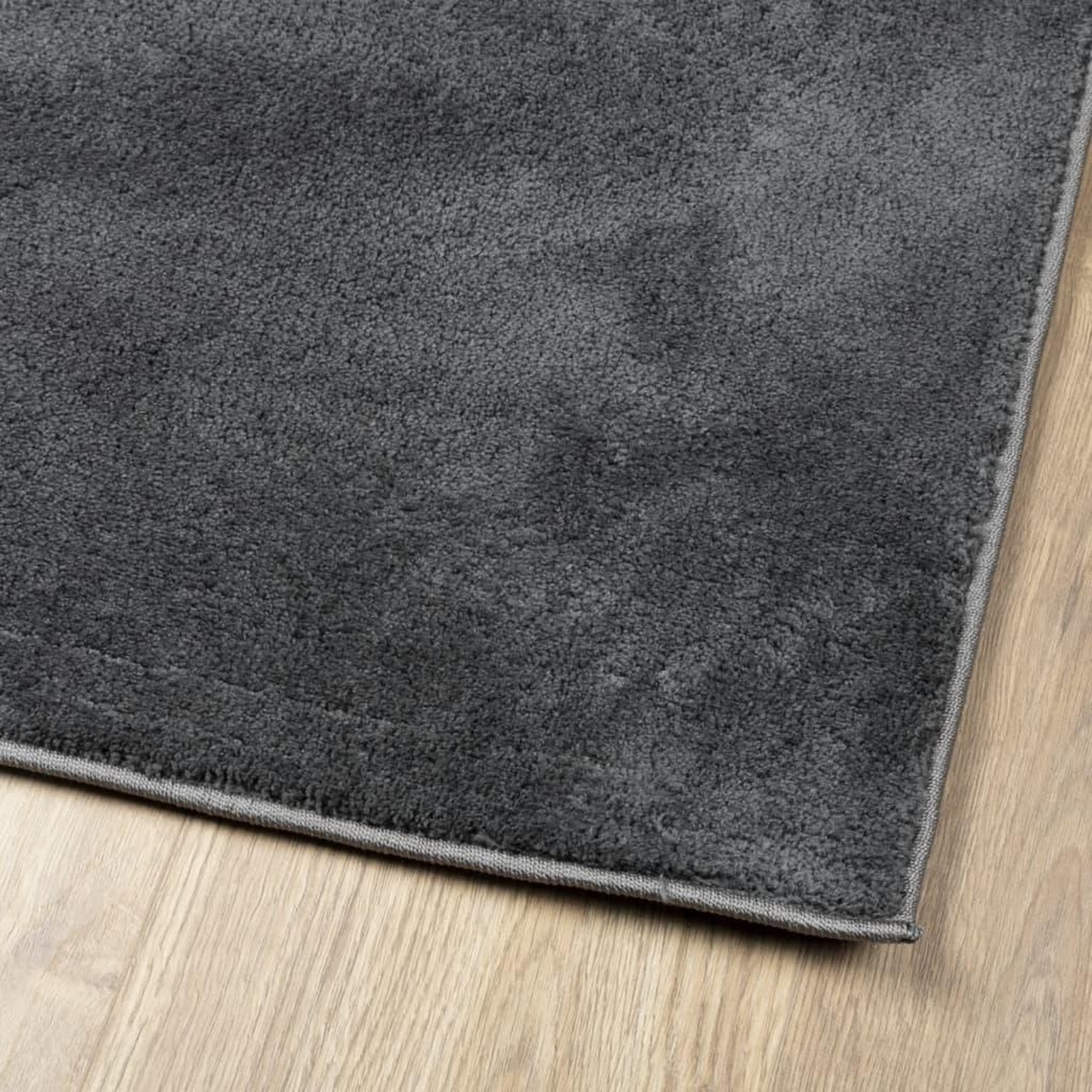 Voir la diapositive 4 : VIDAXL Tapis OVIEDO a poils courts anthracite 160x230 cm