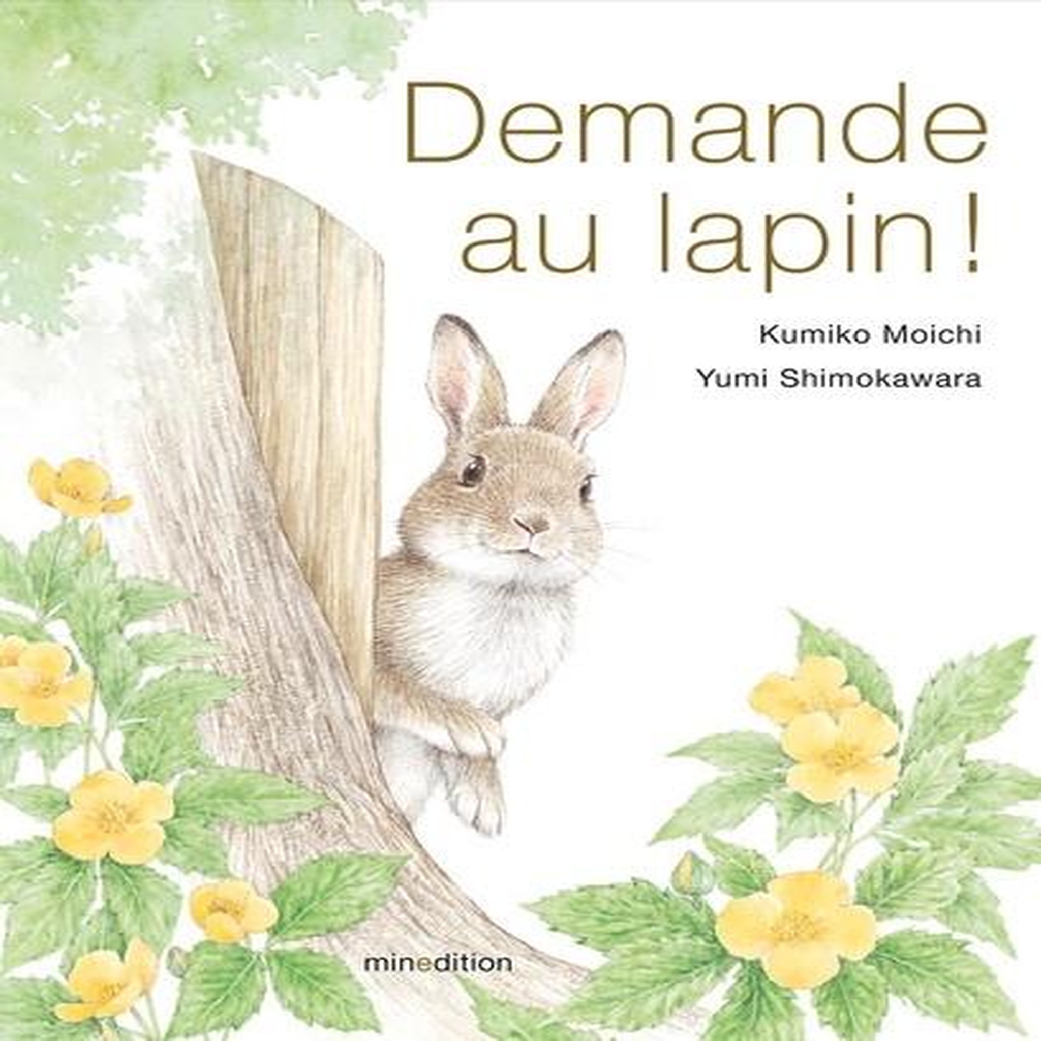 DEMANDE AU LAPIN !, Moichi Kumiko