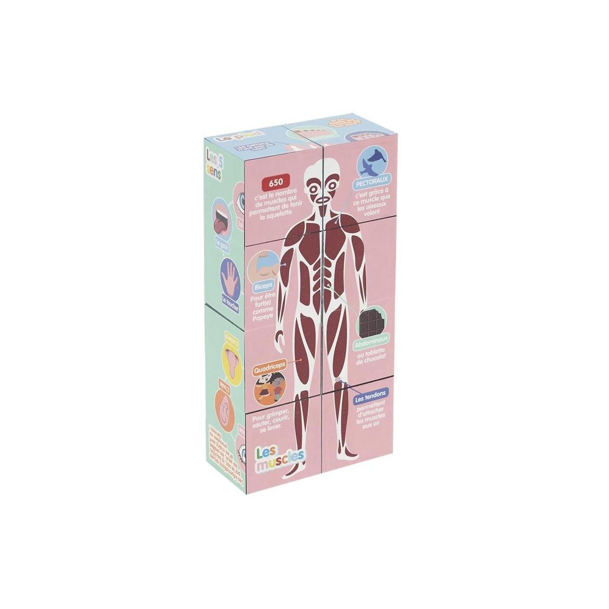 Voir la diapositive 2 : Jeux 2 momes Cube educatif  corps humain  7cm multicolore