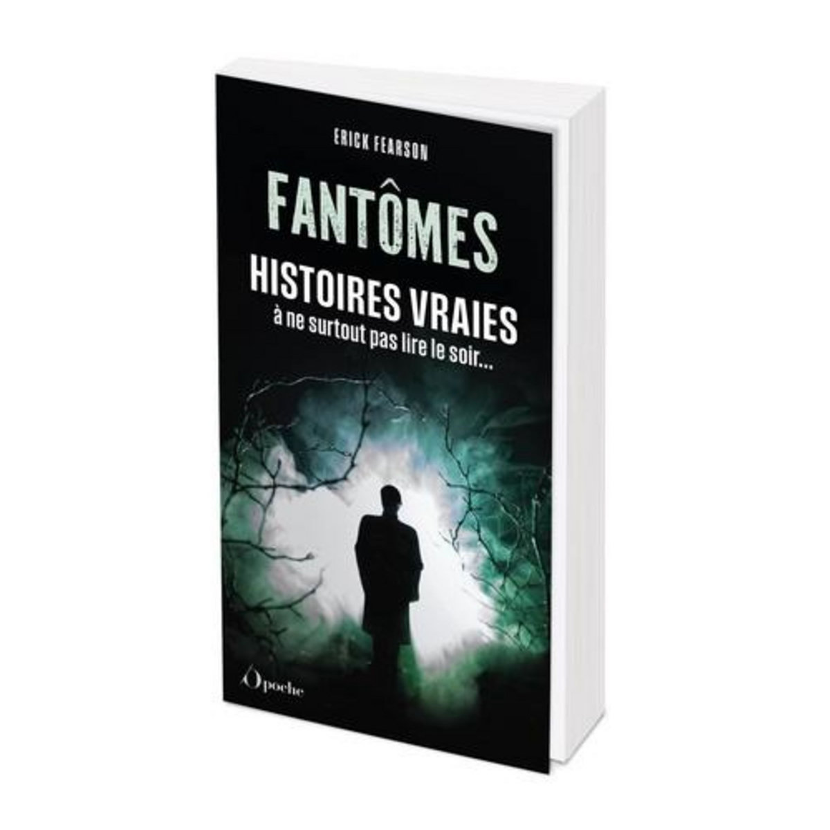 FANTOMES, HISTOIRES VRAIES. A NE SURTOUT PAS LIRE LE SOIR, Fearson Erick