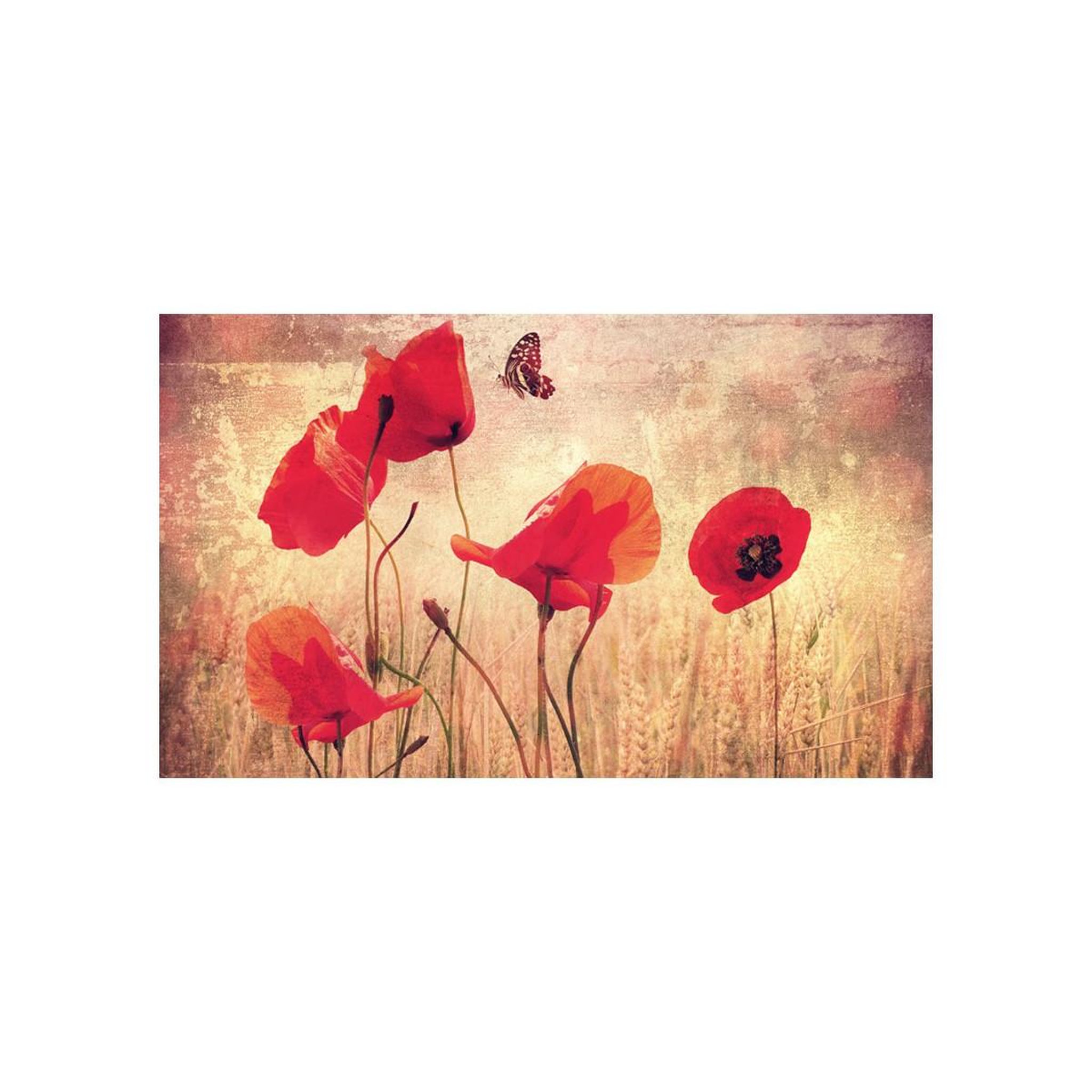 Voir la diapositive 2 : Paris Prix Papier peint  summer is coming  270x450cm
