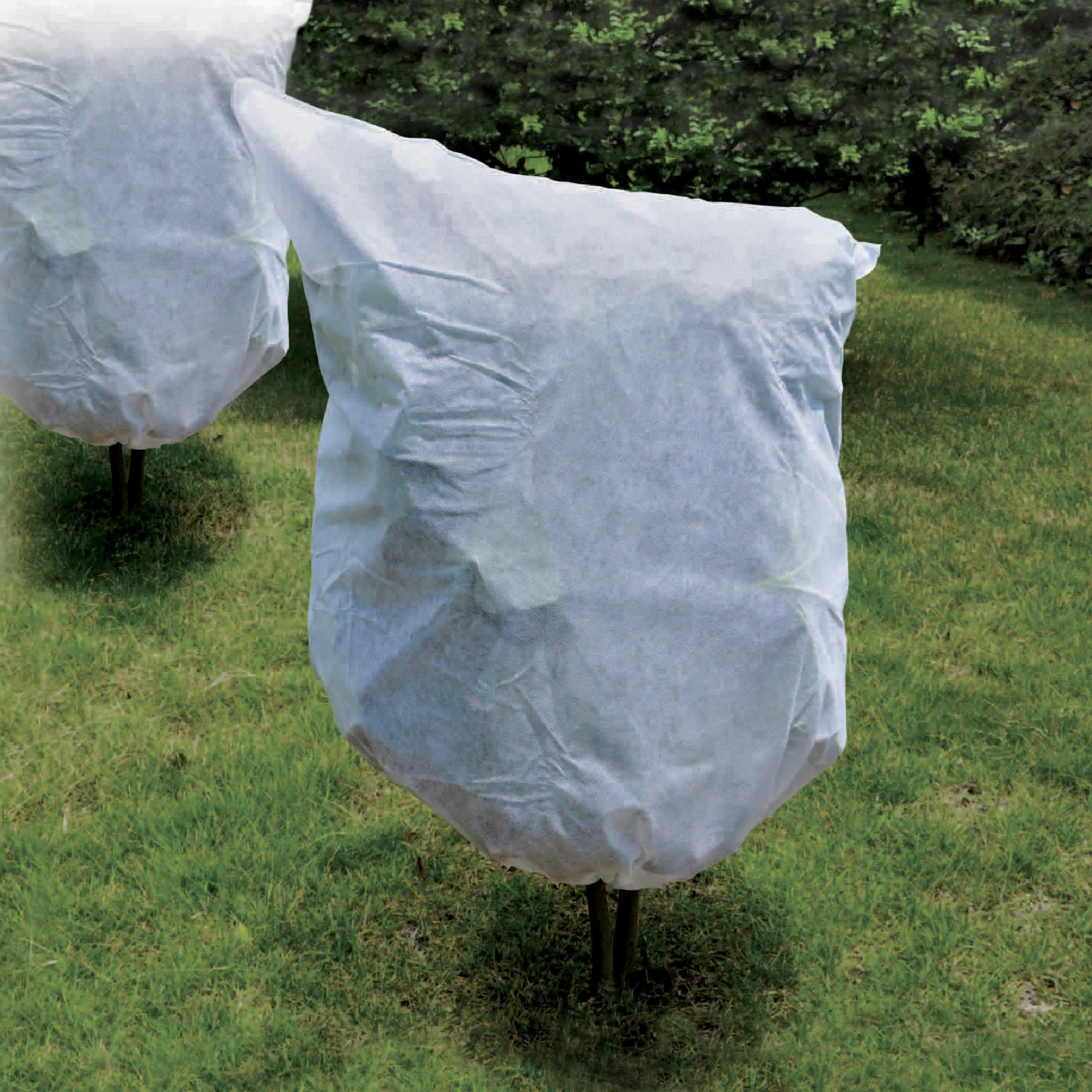 Voir la diapositive 2 :  Lot de 5 housses pour plantes WERKA PRO  80x100cm