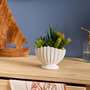 Voir la diapositive 2 : ATMOSPHERA Composition Artificielle Pot Coquillage  Ocea  20cm Blanc