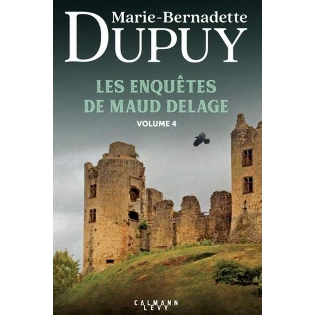 LES ENQUETES DE MAUD DELAGE TOME 4 : L'ENFANT MYSTERE DES TERRES CONFOLENTAISES ; MAUD SUR LES CHEMINS DE L'ETRANGE ; NUITS A HAUT RISQUE, Dupuy Marie-Bernadette