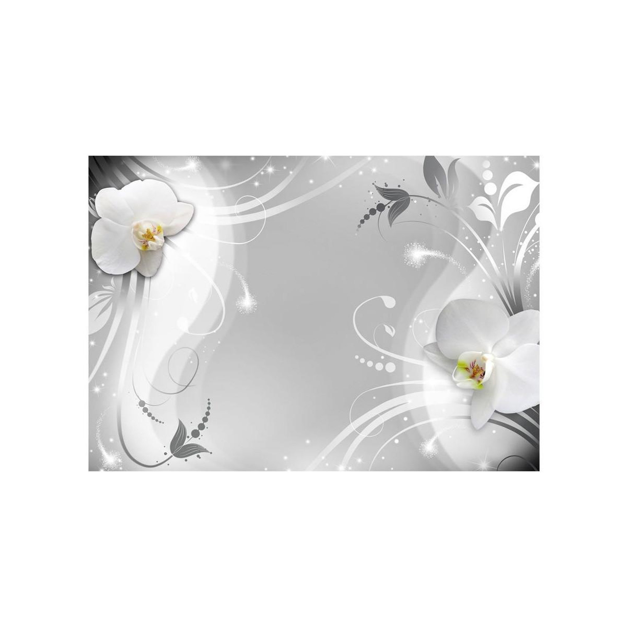 Voir la diapositive 2 : Paris Prix Papier Peint  Charming Orchid
