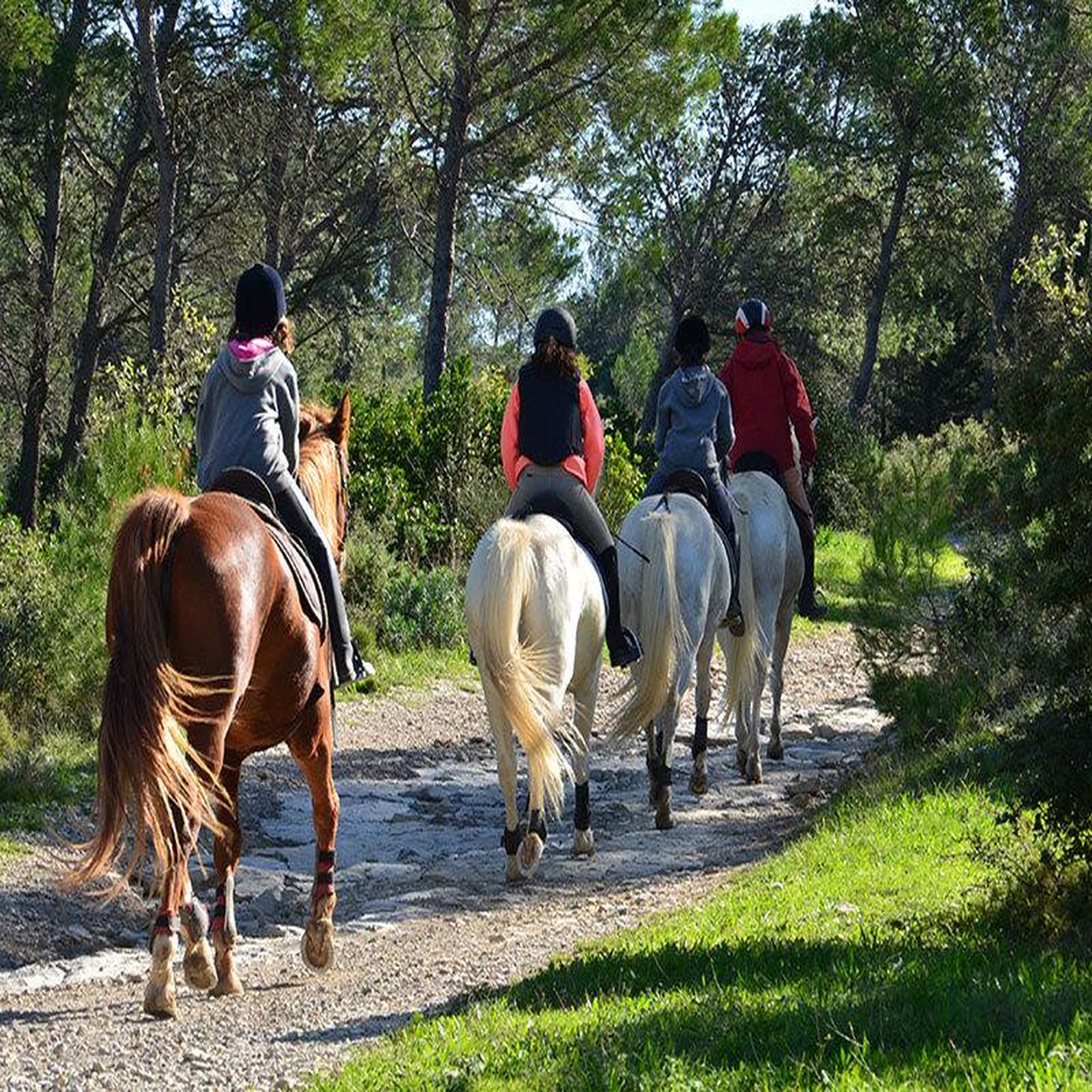Voir la diapositive 4 : Smartbox Balade à cheval - coffret cadeau sport & aventure