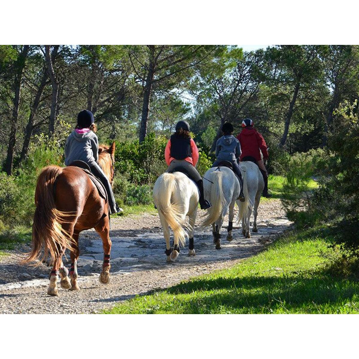 Smartbox Balade à cheval - Coffret Cadeau Sport & Aventure