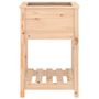 Voir la diapositive 5 : VIDAXL Jardiniere avec etagere 54x54x81 cm Bois massif de pin