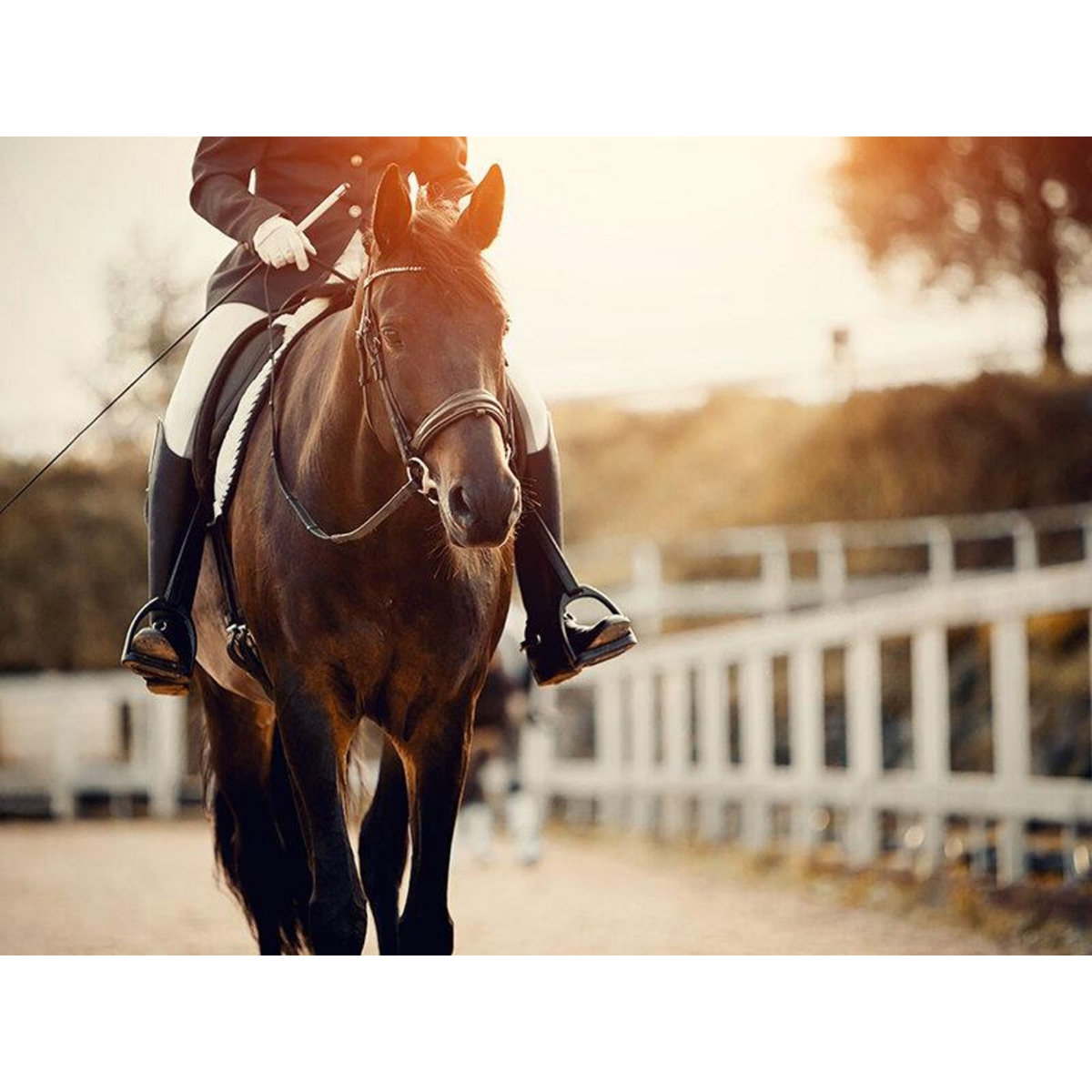 Smartbox Carte cadeau Aventure - 100 € - Coffret Cadeau Multi-thèmes