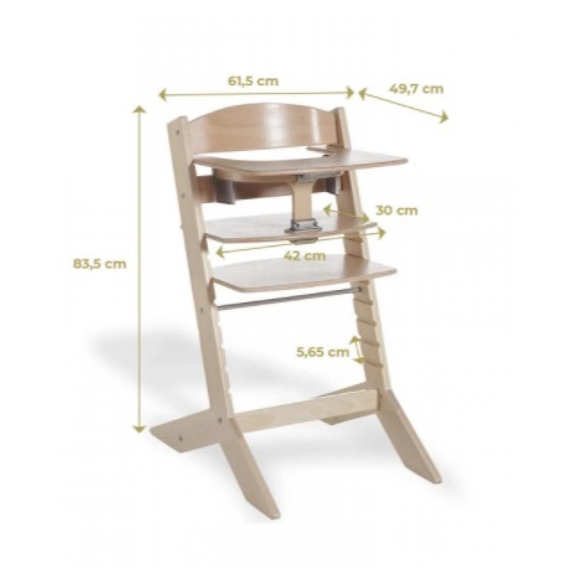 GEUTHER Chaise Haute Évolutive Geuther Syt - Couleur Vert Menthe avec Arceau de Sécurité