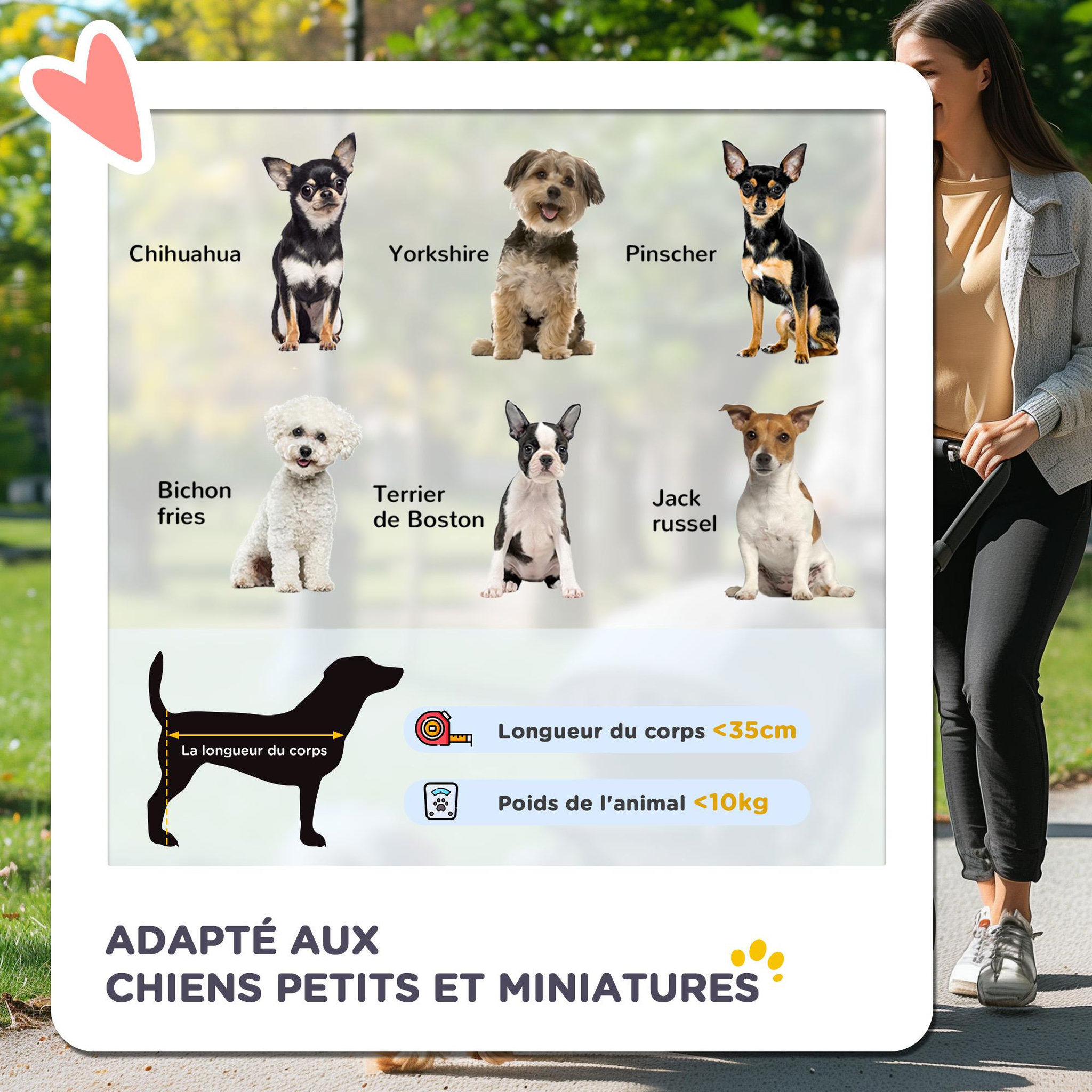 Voir la diapositive 4 : PAWHUT Poussette pliable pour chien chat nacelle amovible 2 en 1 - 4 roues doubles, 2 freins - acier Oxford noir