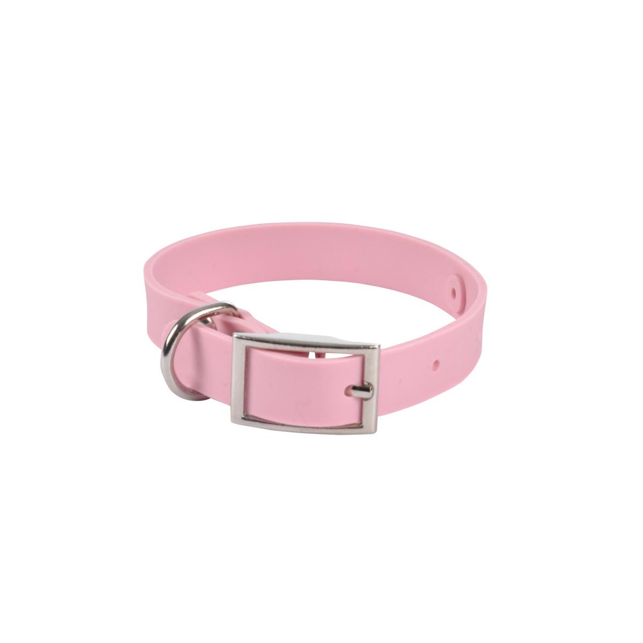 Voir la diapositive 1 : Eden Collier en silicone pour chien silicoole