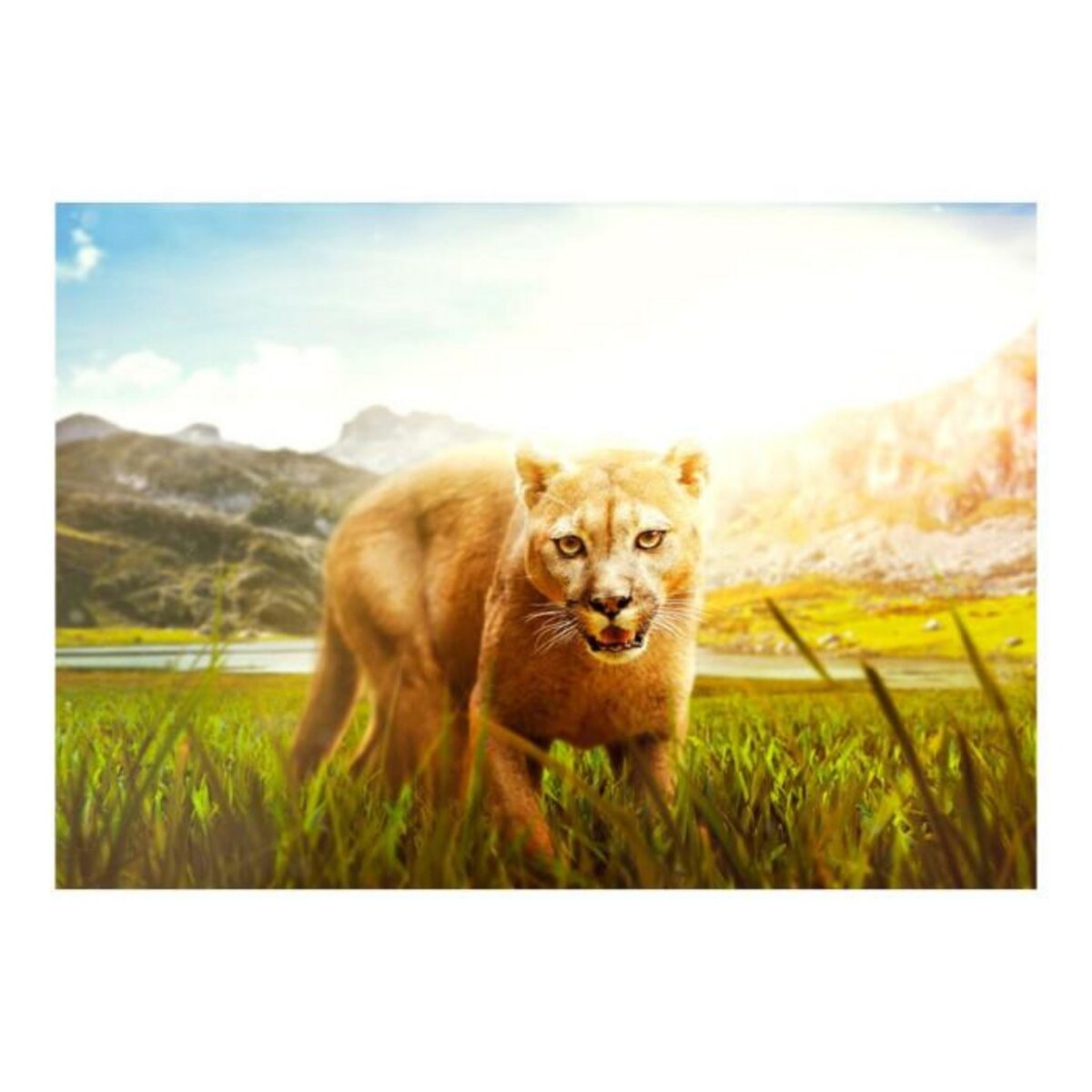 Paris Prix Papier Peint  Watch Out!