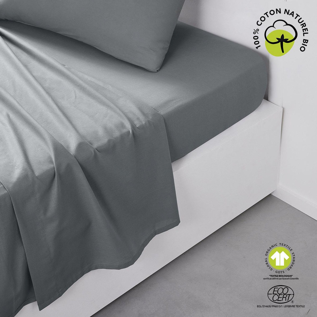 Today Drap plat - 100% coton BIO