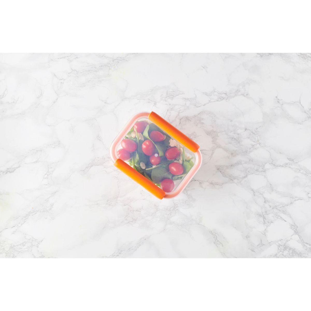 MASTRAD Boîte hermétique de conservation lot de 3