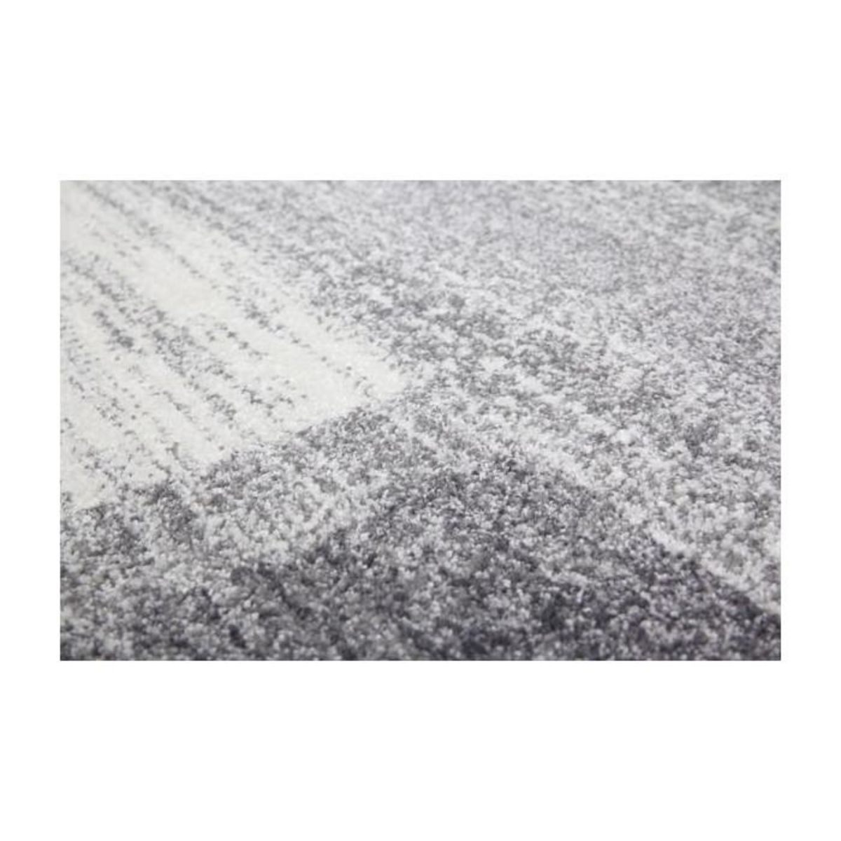 Paris Prix Tapis à Poils Courts Tissé  Falkland II  Argent