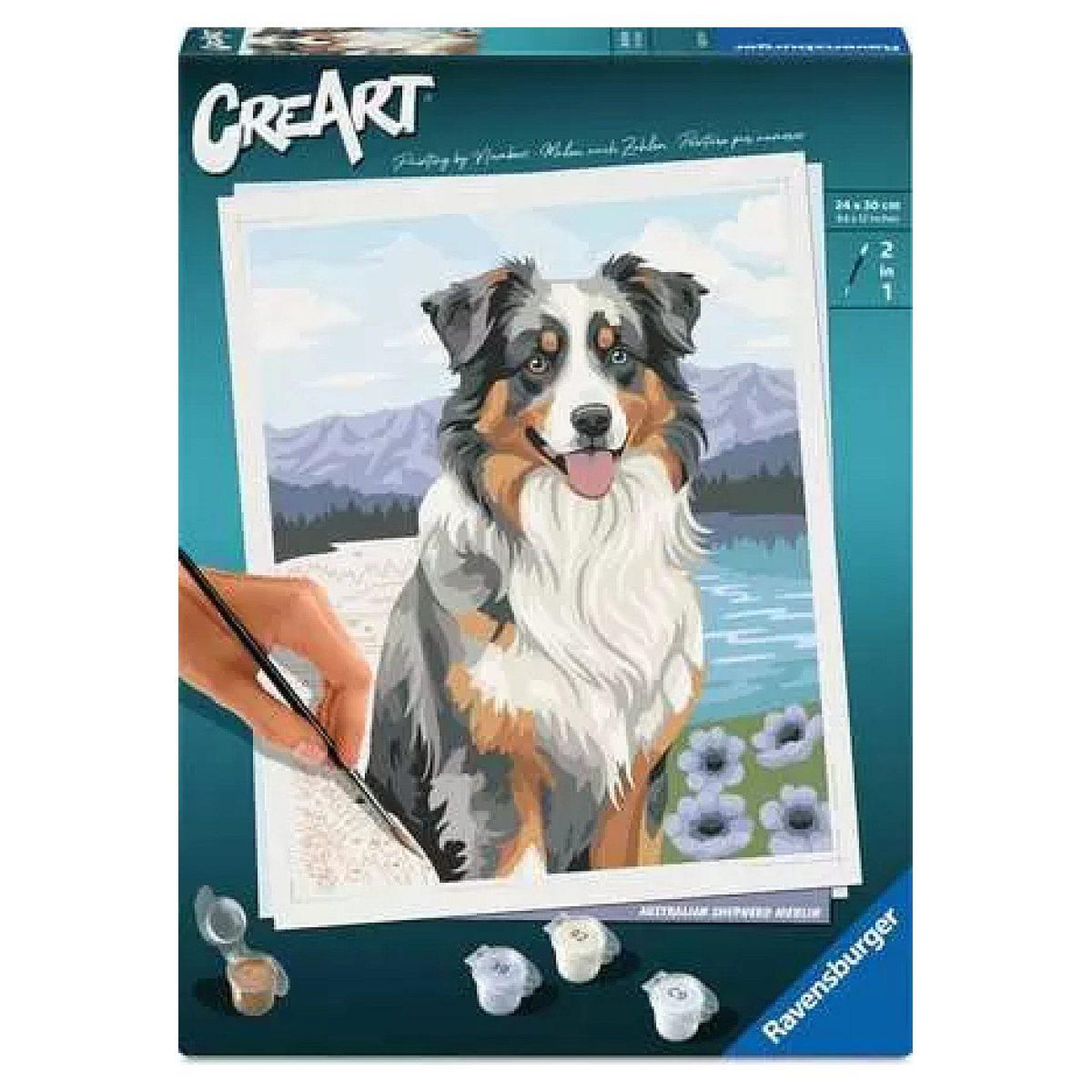 RAVENSBURGER Ravensburger – CreArt 24x30 cm – Adulte – Peinture par numéros – Berger Australien – Loisir créatif – 12023114