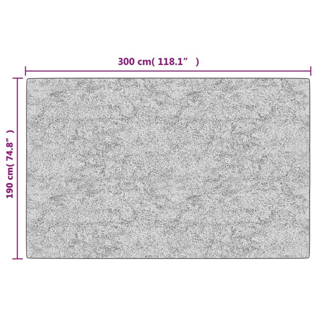 VIDAXL Tapis lavable antiderapant 190x300 cm anthracite